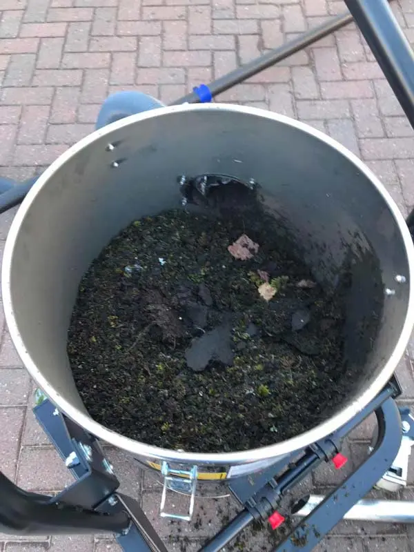 bucket-of-moss-from-gutter bucket of moss cleaned fromgutter